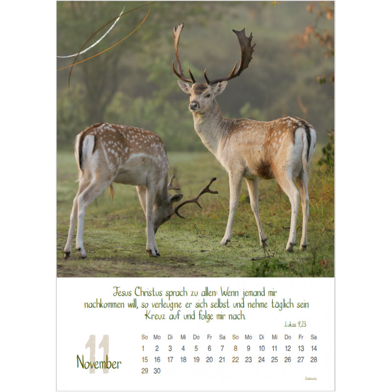 Natur 2026 - Fotokalender