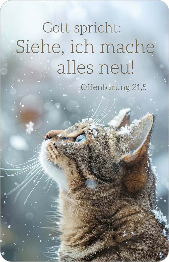 Kalenderkärtchen 2026 ''Katze"