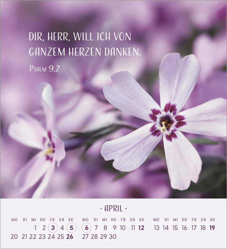 Zarte Blumengrüße 2026 - Tischkalender