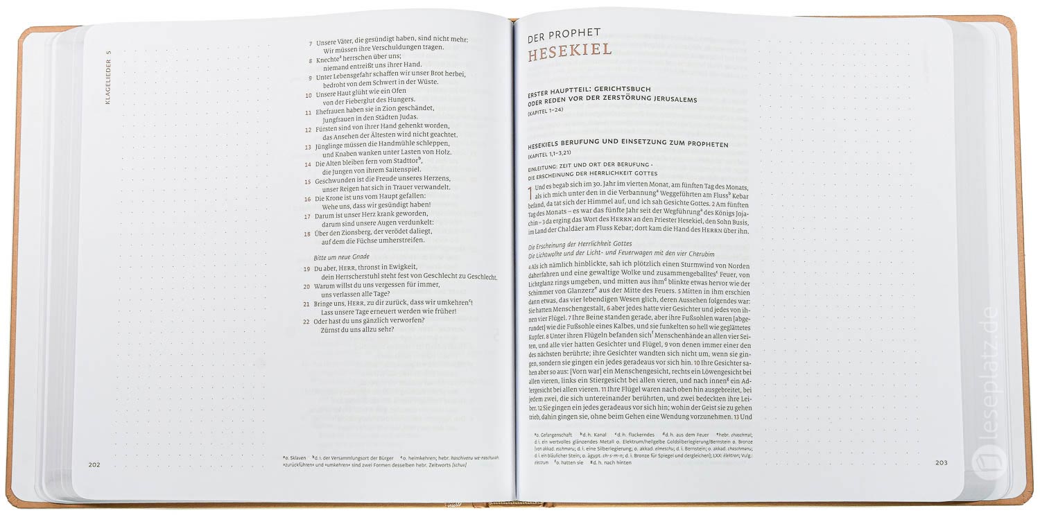 Menge 2020 - Altes Testament Journaling "Prediger bis Maleachi"
