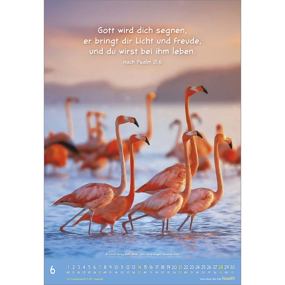Meine kleine Welt 2026 - Wandkalender