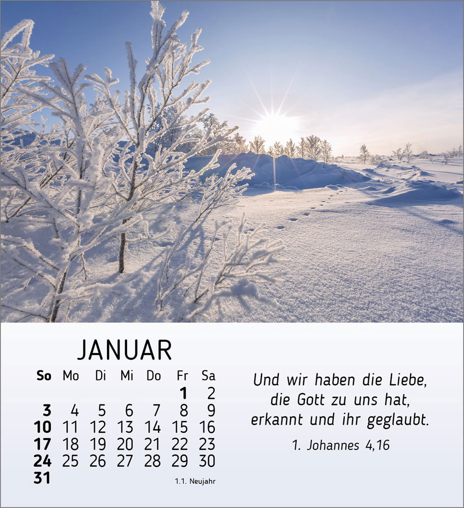 Schönheit des Lichts 2027