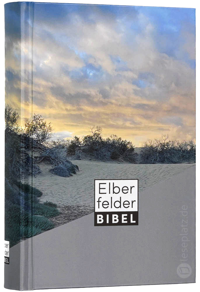 Elberfelder Bibel 2006 Taschenausgabe - Motiv Dünen