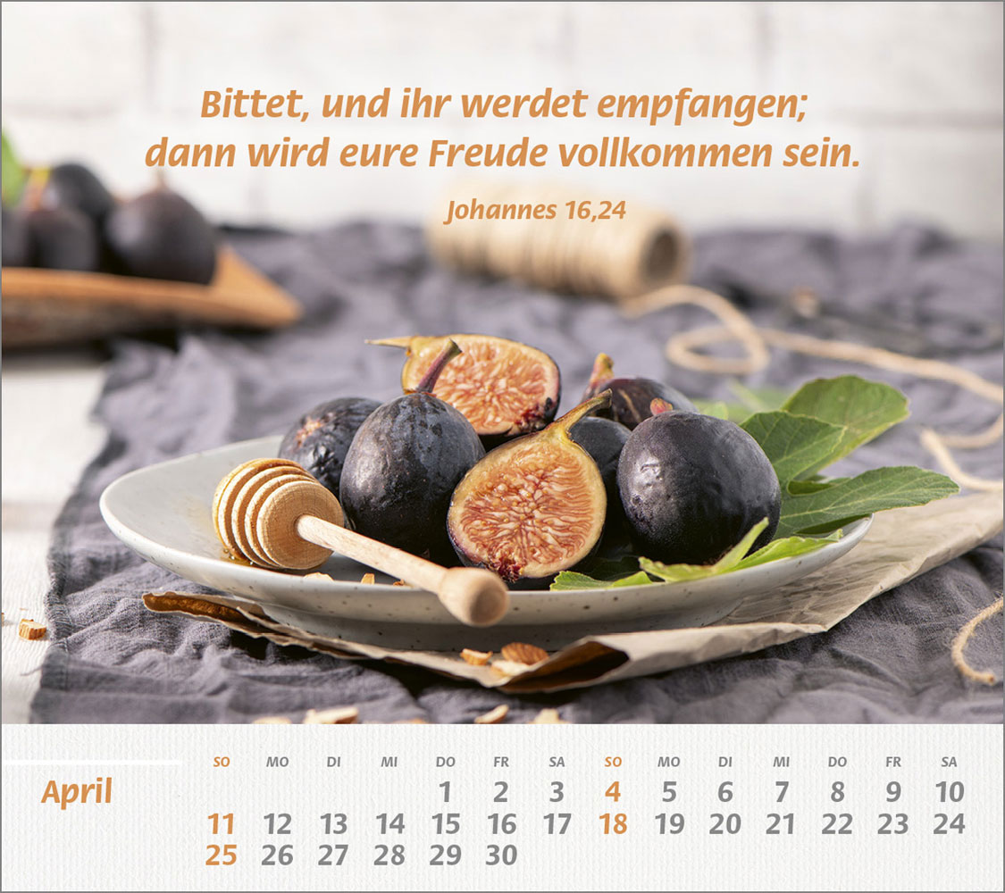Du bist meine Stärke 2027