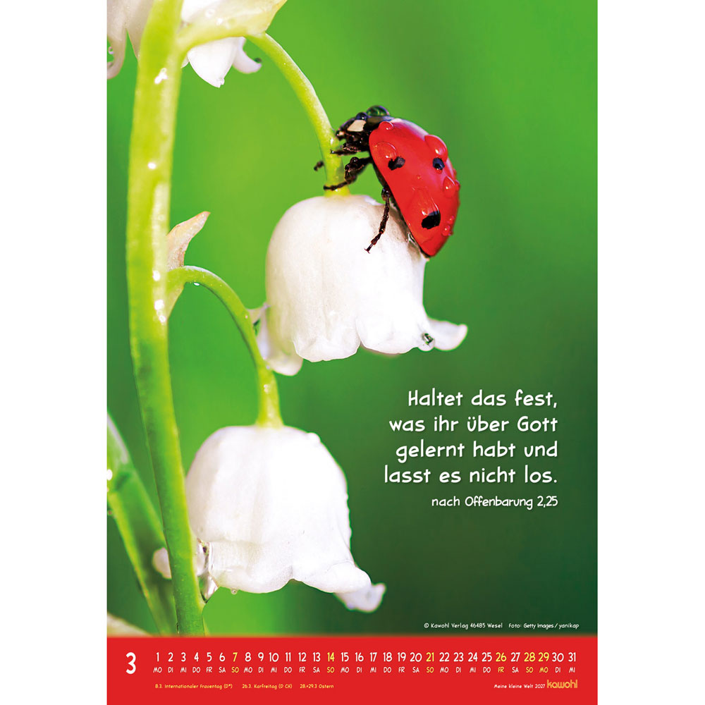 Meine kleine Welt 2027 - Wandkalender