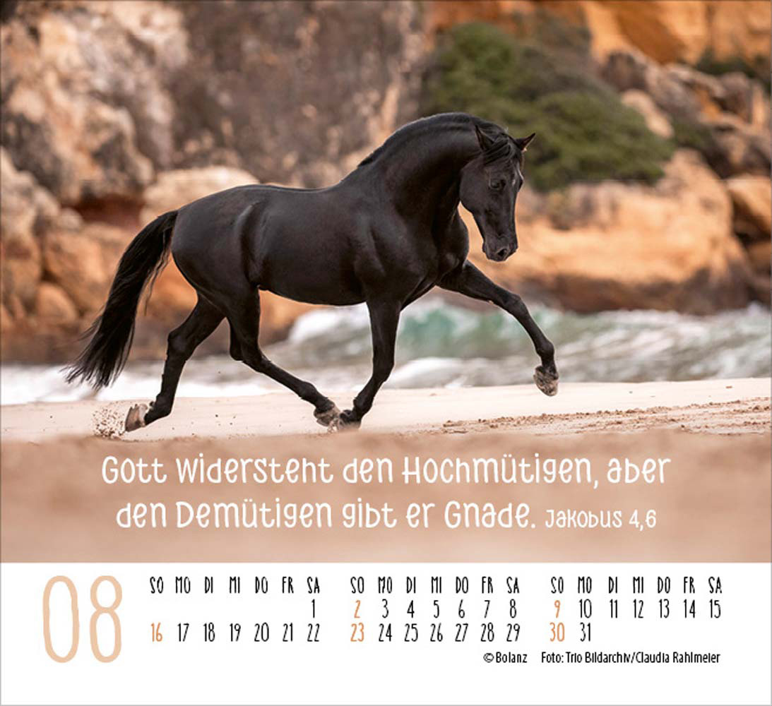 Pferde 2026 - Minikalender  