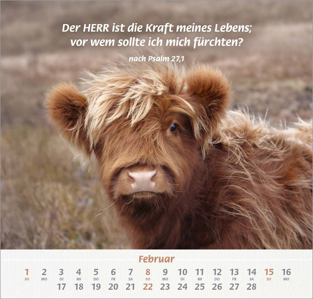 Ich hab dich gern 2026 - Wandkalender