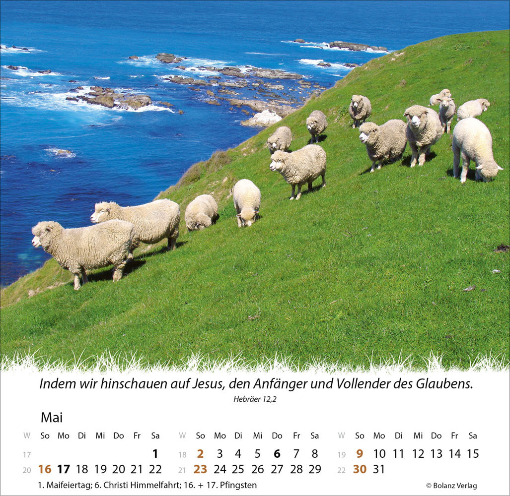 Ein Leben für die Schafe 2027 - Verteilkalender