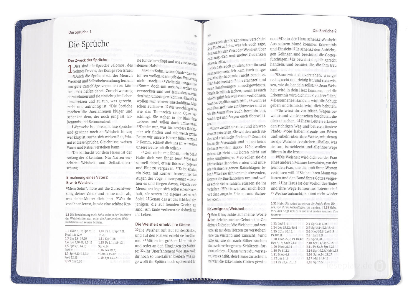 Neues Leben. Die Bibel - Taschenausgabe - Kunstleder blau