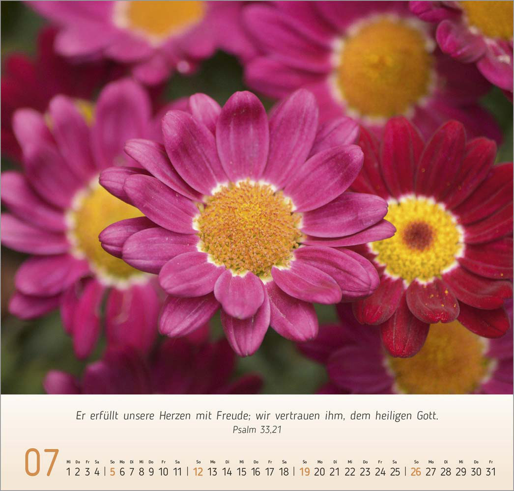 Impressionen Blumen 2026