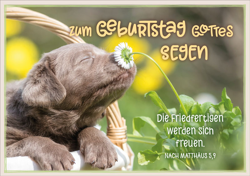 179712229 Faltkarte "Welpe"