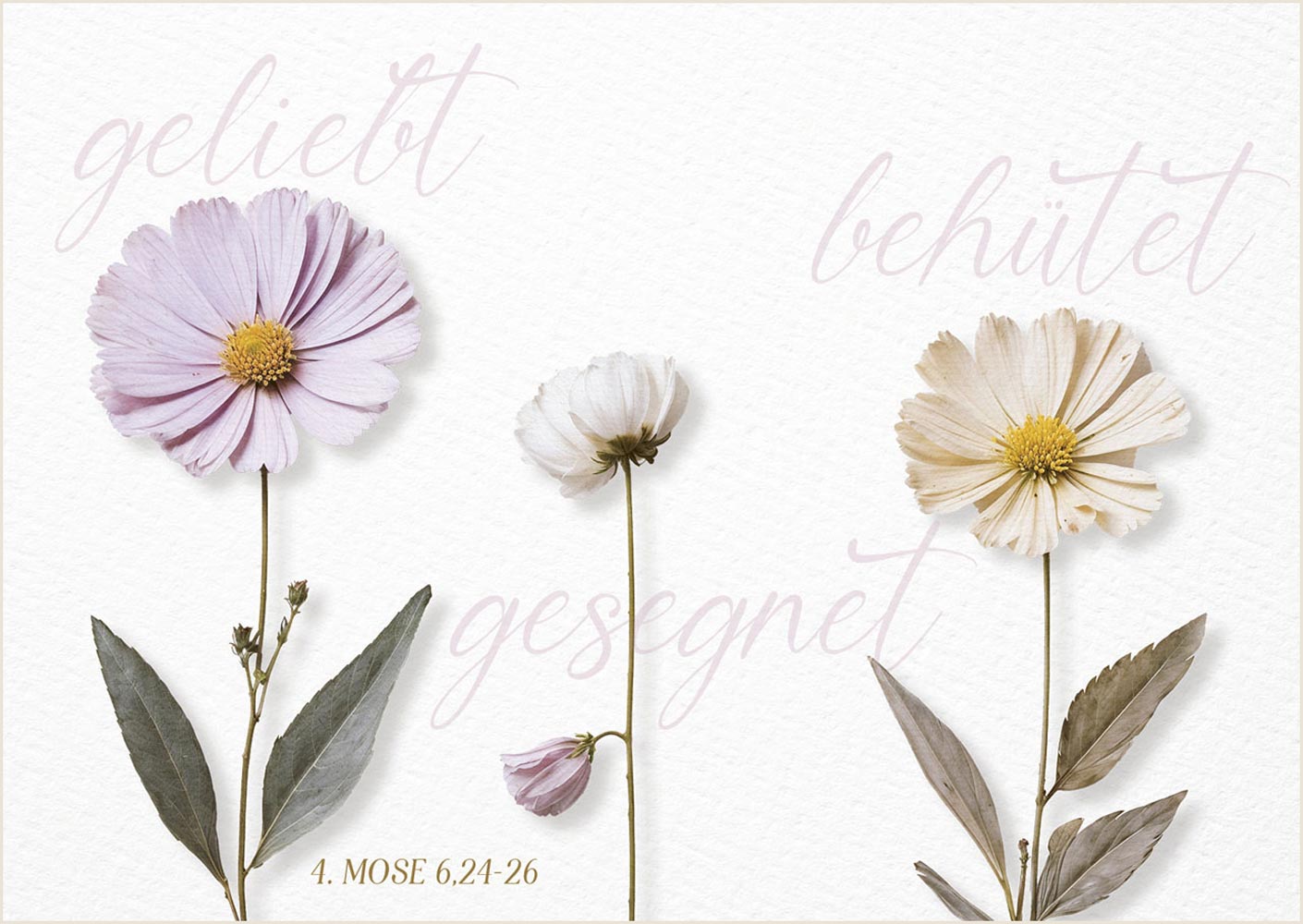 Postkarte "geliebt - behütet - gesegnet"