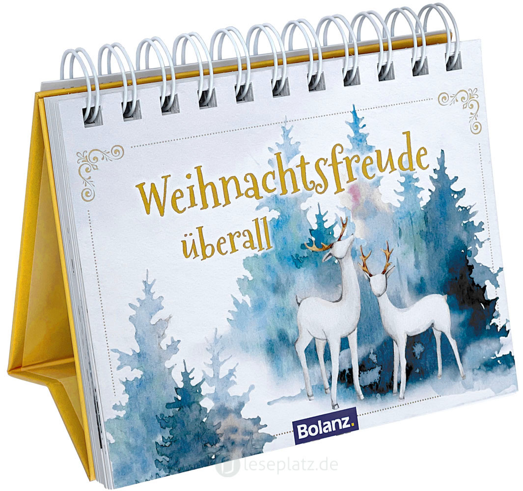 Weihnachtsfreude überall - Aufstellbuch