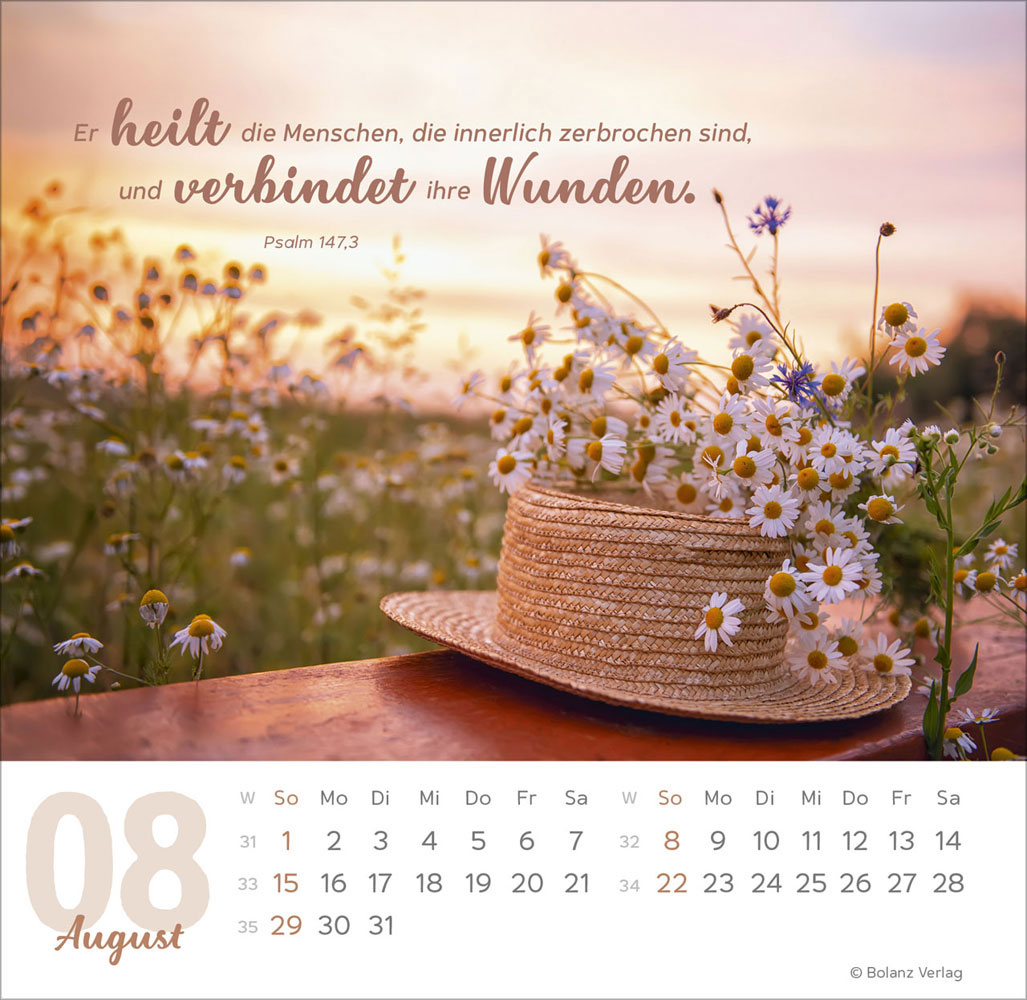 Meine Zeit 2027 - Verteilkalender