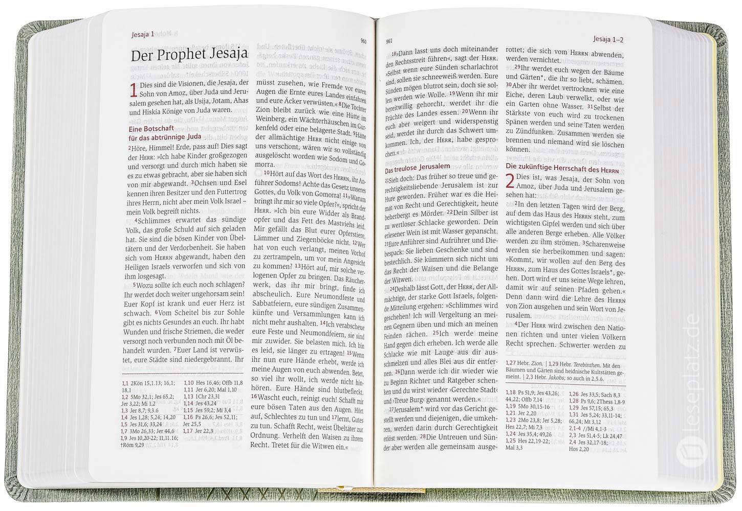 Neues Leben. Die Bibel - Taschenausgabe - Kunstleder grün