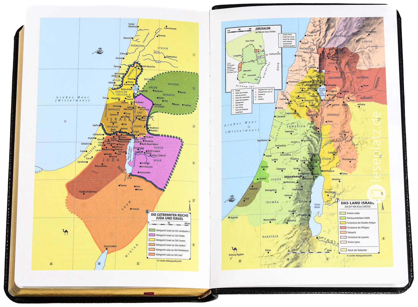 Schlachter 2000 Taschenausgabe - flex.Rindleder schwarz / Goldschnitt