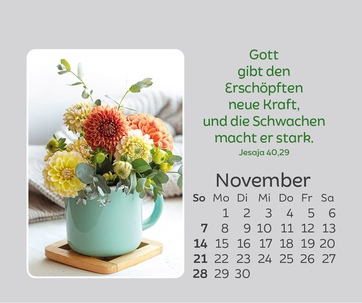 Freude für jeden Tag 2027