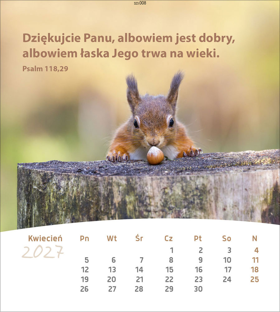 Leben für Dich 2027 - Verteilkalender (Polnisch)