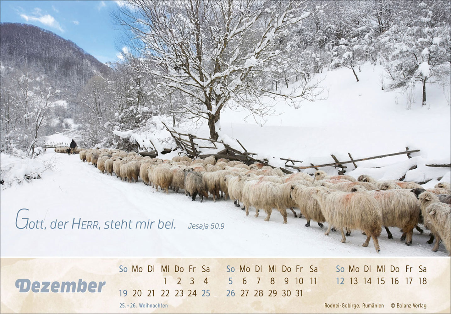 Der Gute Hirte 2027 - Postkartenkalender