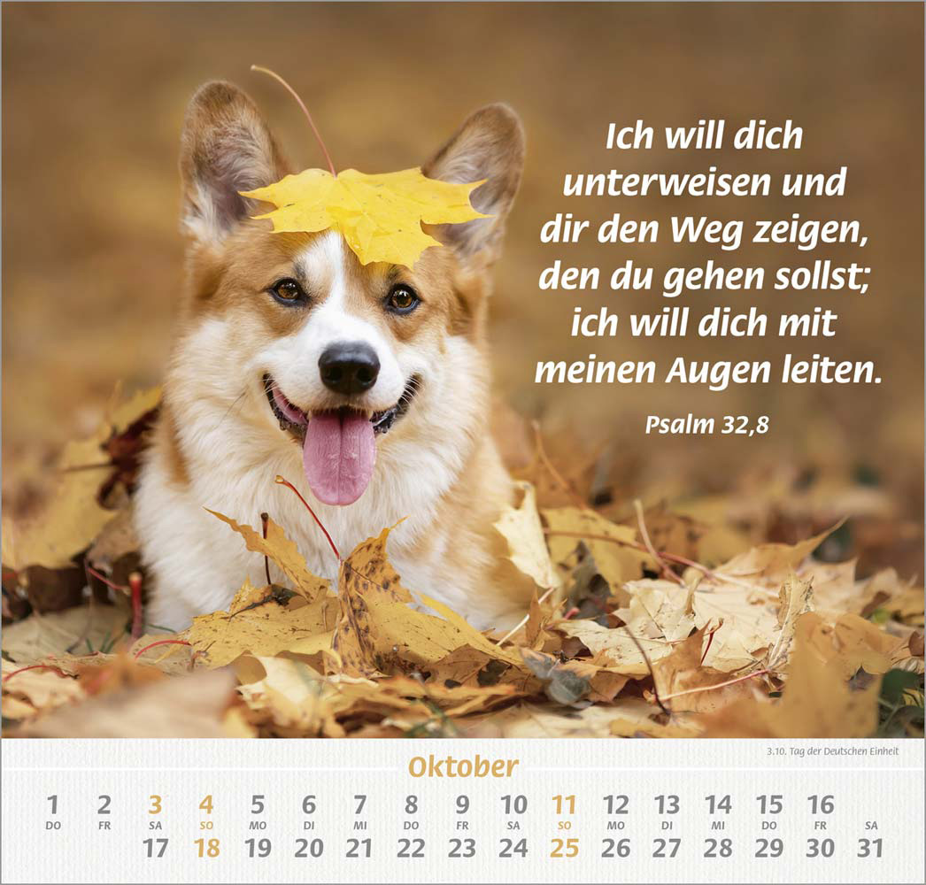 Ich hab dich gern 2026 - Wandkalender