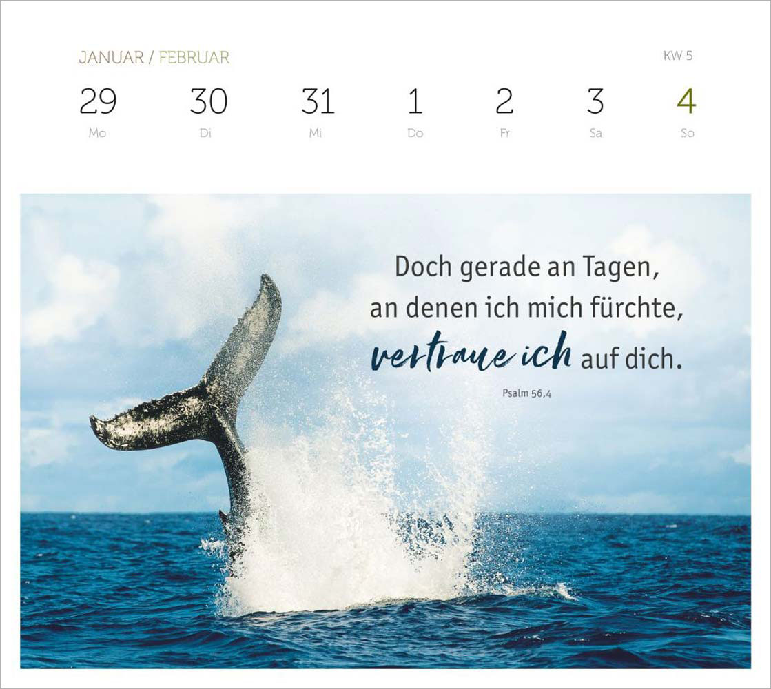 Grüne Wunder - blaue Weiten 2024 - Wochenplaner Grüne Wunder - blaue Weiten 2024 - Wochenplaner