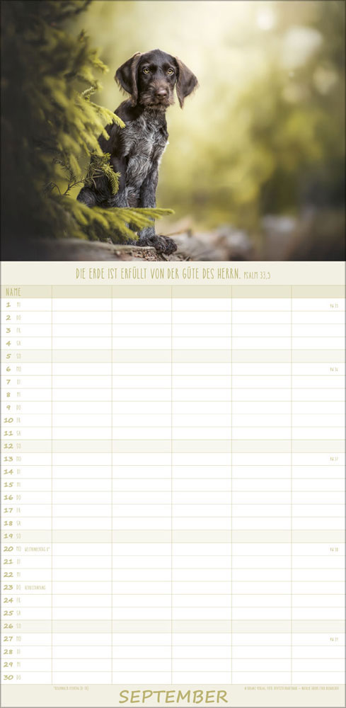 Familienplaner Hunde - 2027
