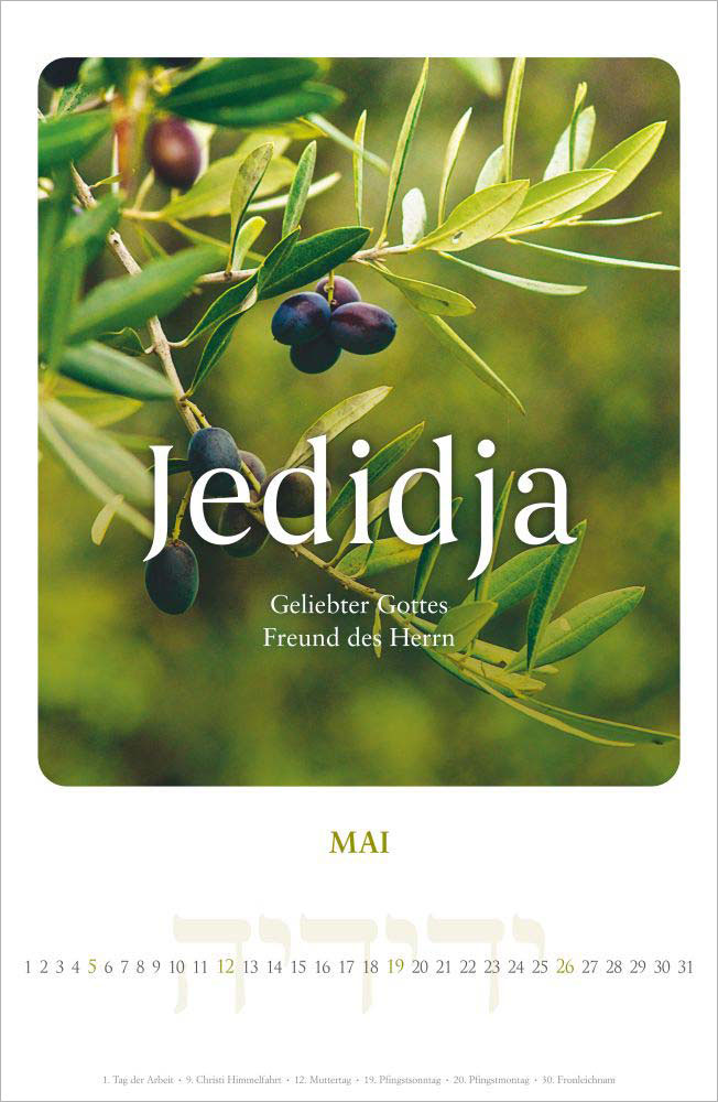 Shalom - Friede sei mit dir 2024 - Wandkalender Shalom - Friede sei mit dir 2024 - Wandkalender