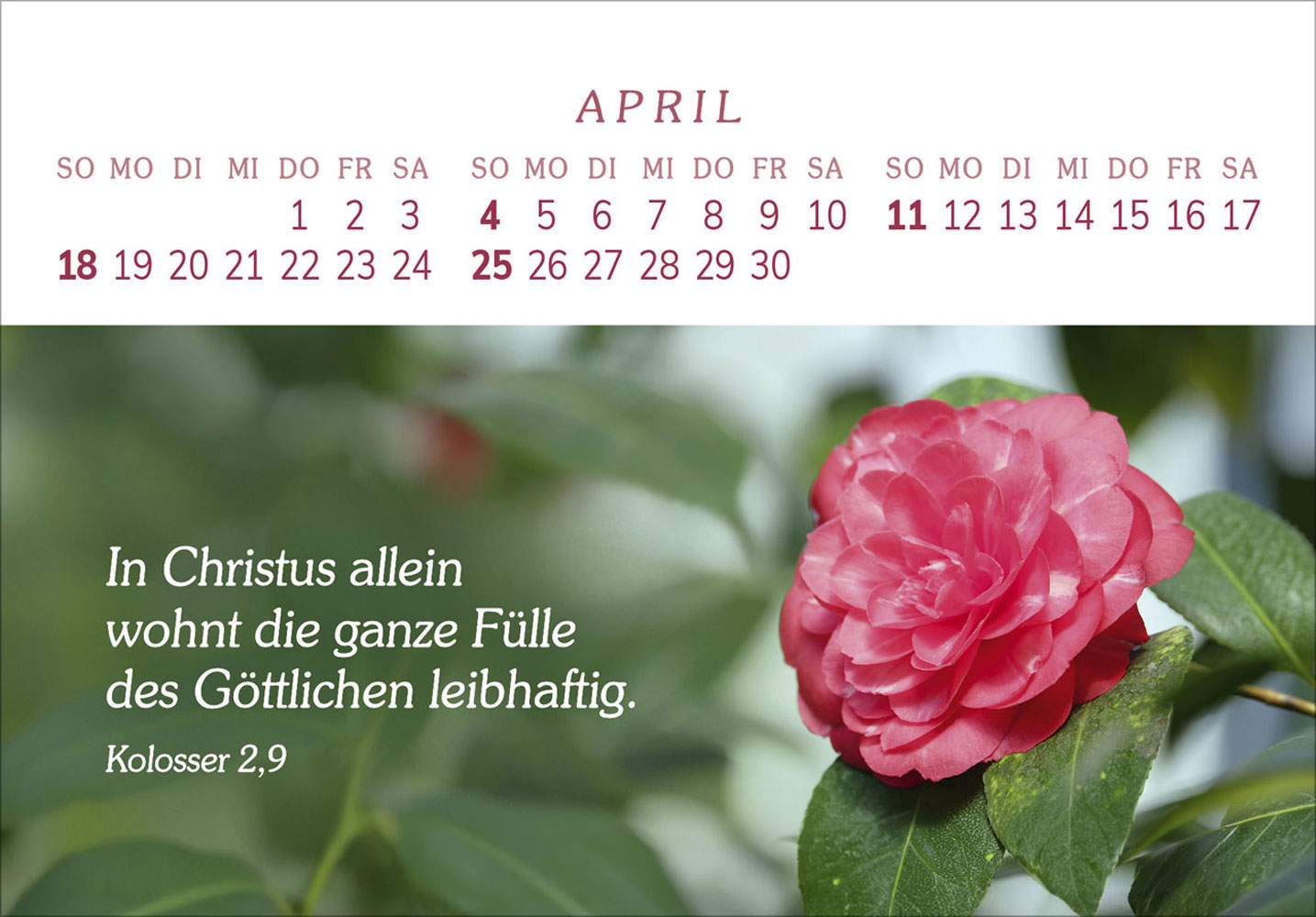 Das Geschenk der Freude 2027
