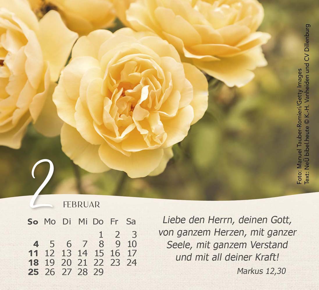 Rosen 2024 - Tischkalender Rosen 2024 - Tischkalender