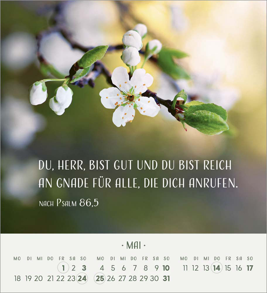 Zarte Blumengrüße 2026 - Tischkalender