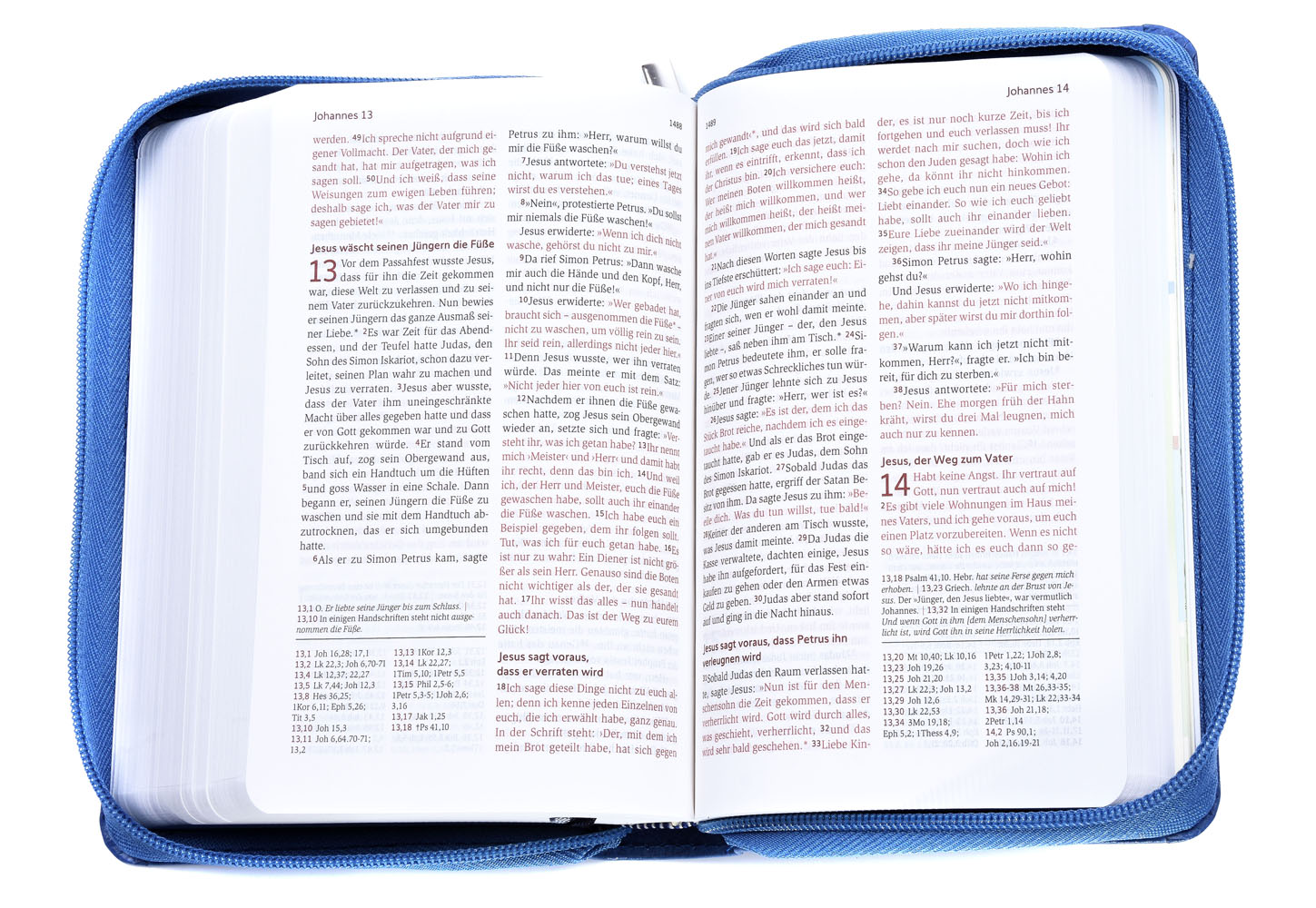 Neues Leben. Die Bibel - Taschenausgabe - Kunstleder mit Reißverschluss