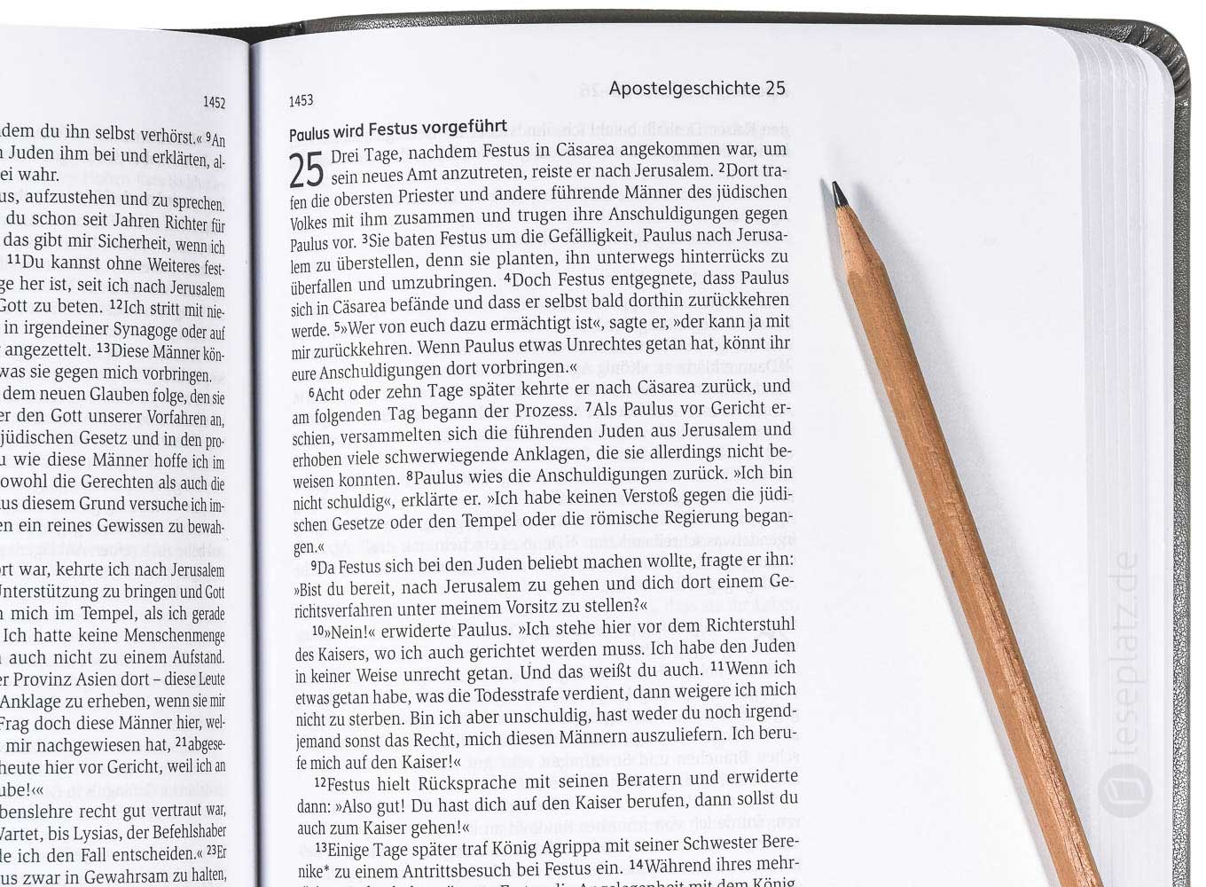 Neues Leben. Die Bibel - Schreibrandausgabe "Kunstleder grau"