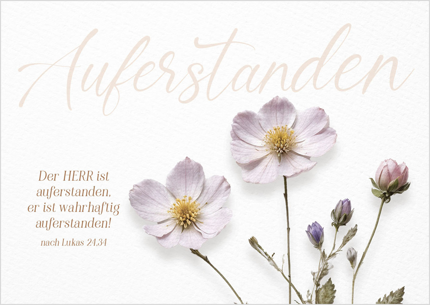 Postkarte "Auferstanden"