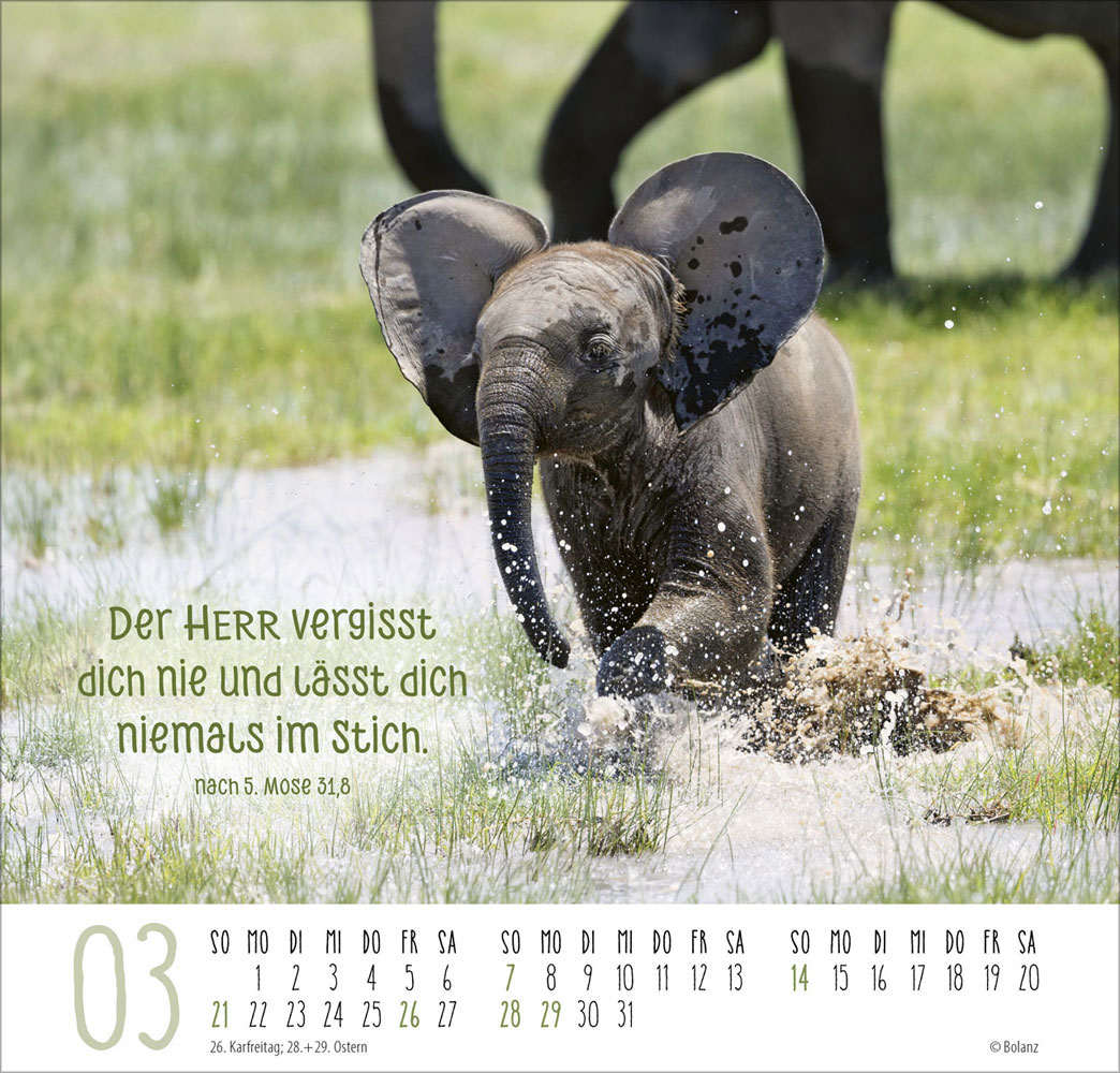 Beste Freunde - Ich mag dich  2027 - Posterkalender