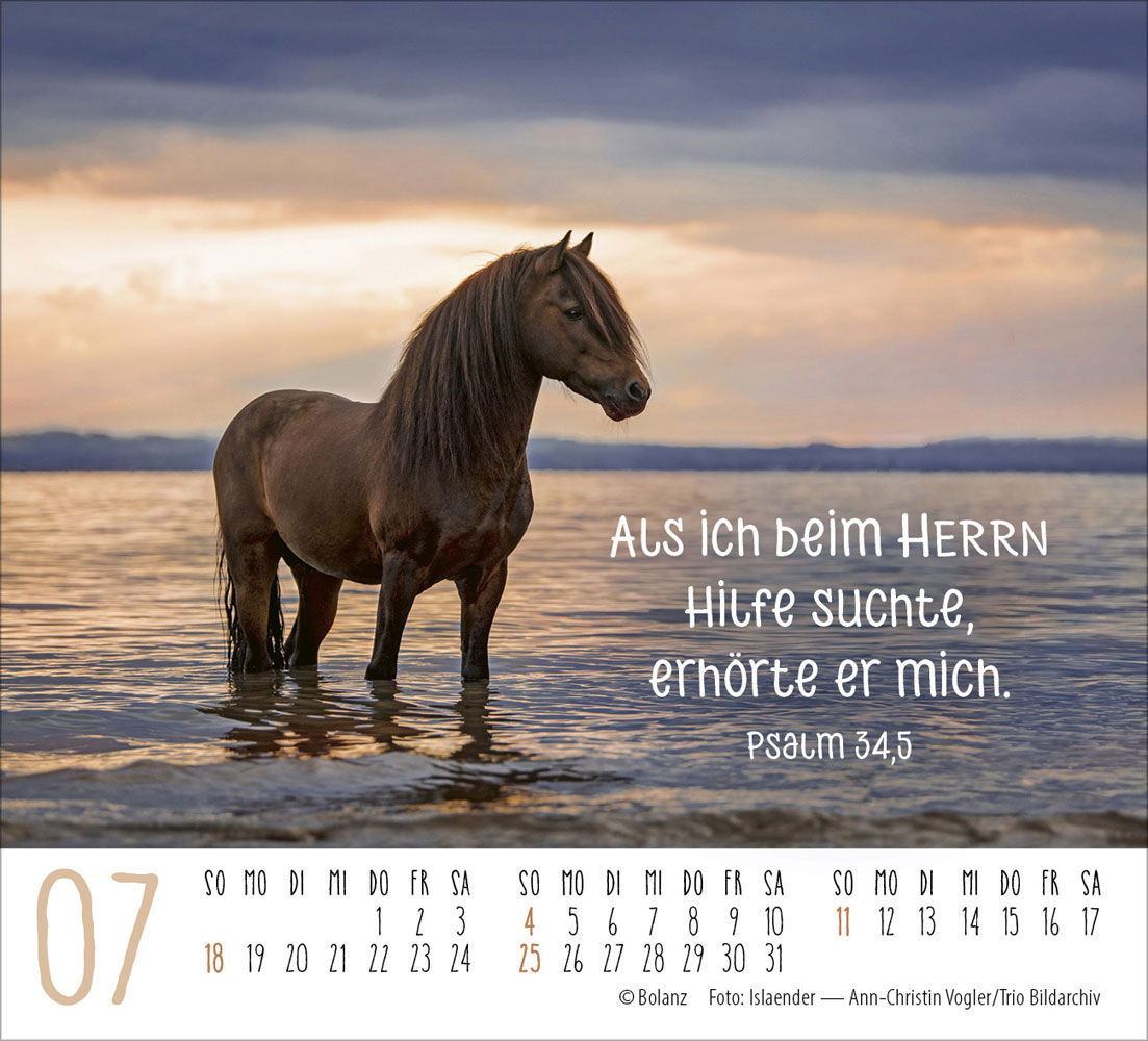 Pferde 2027 - Minikalender