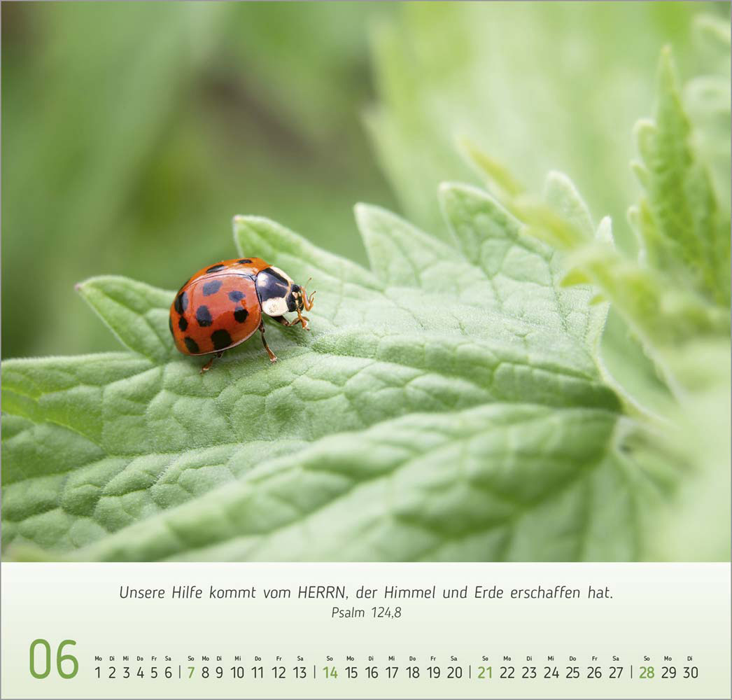 Gesichter der Natur 2026 Gesichter der Natur 2026