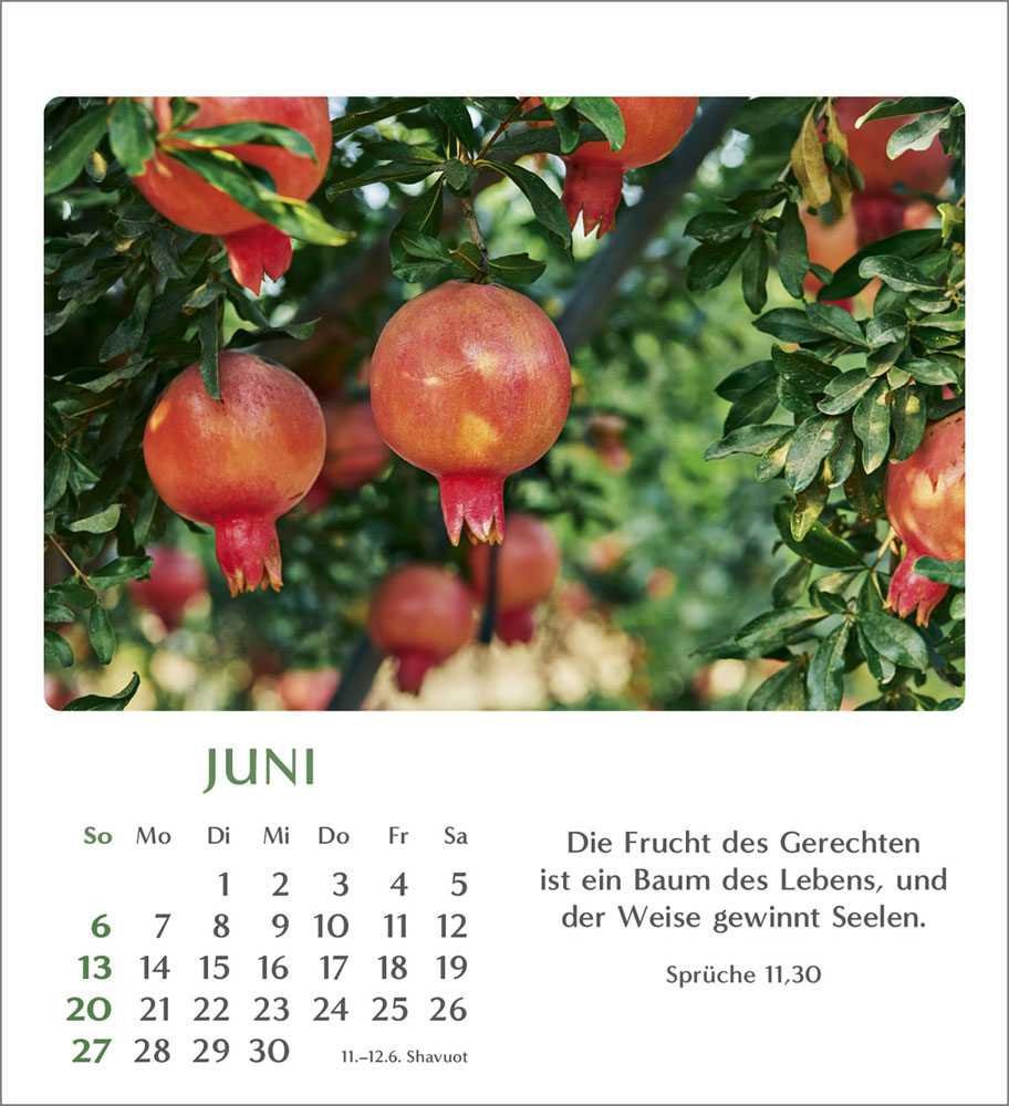 Geliebtes Israel 2027 - Verteilkalender