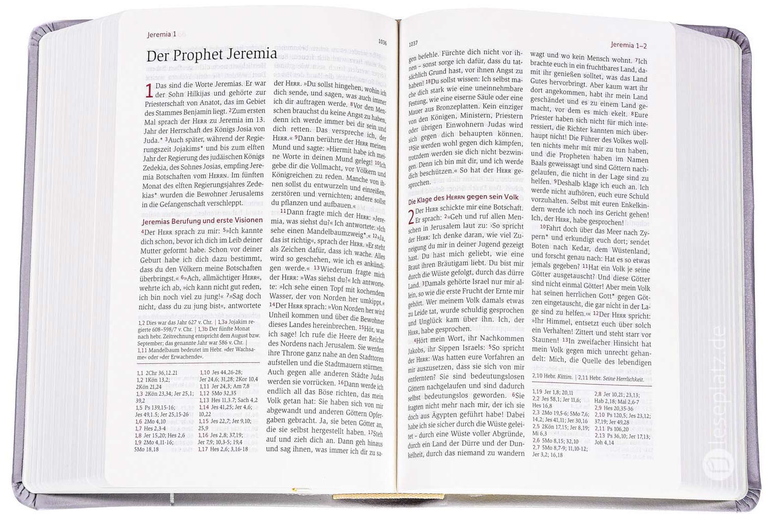 Neues Leben. Die Bibel - Taschenausgabe - Leder grau