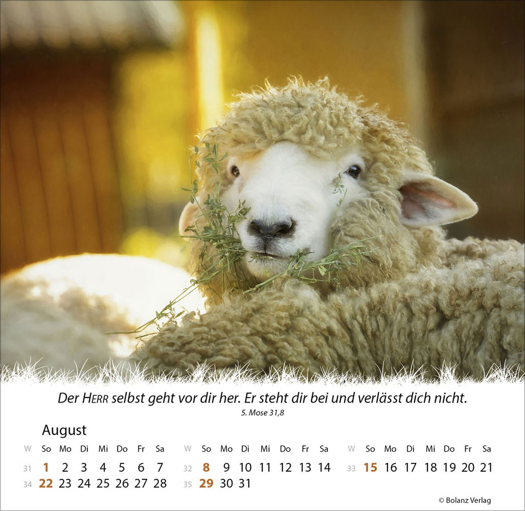 Ein Leben für die Schafe 2027 - Verteilkalender