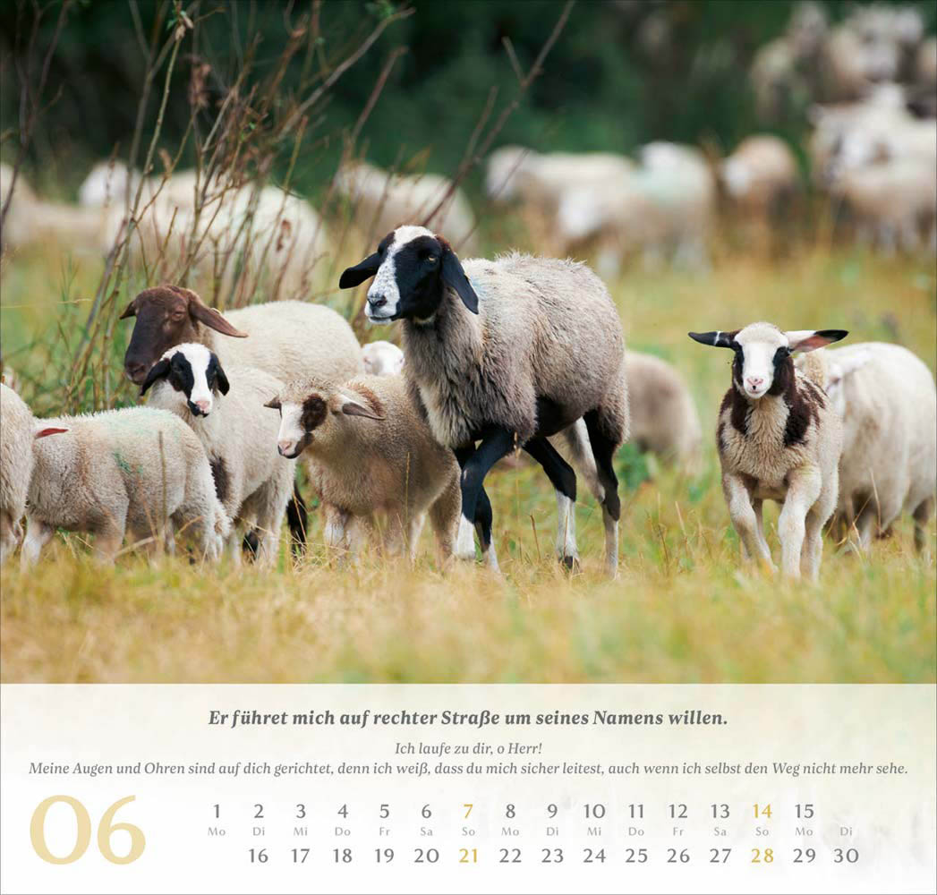 Psalm 23 - Wandkalender 2026