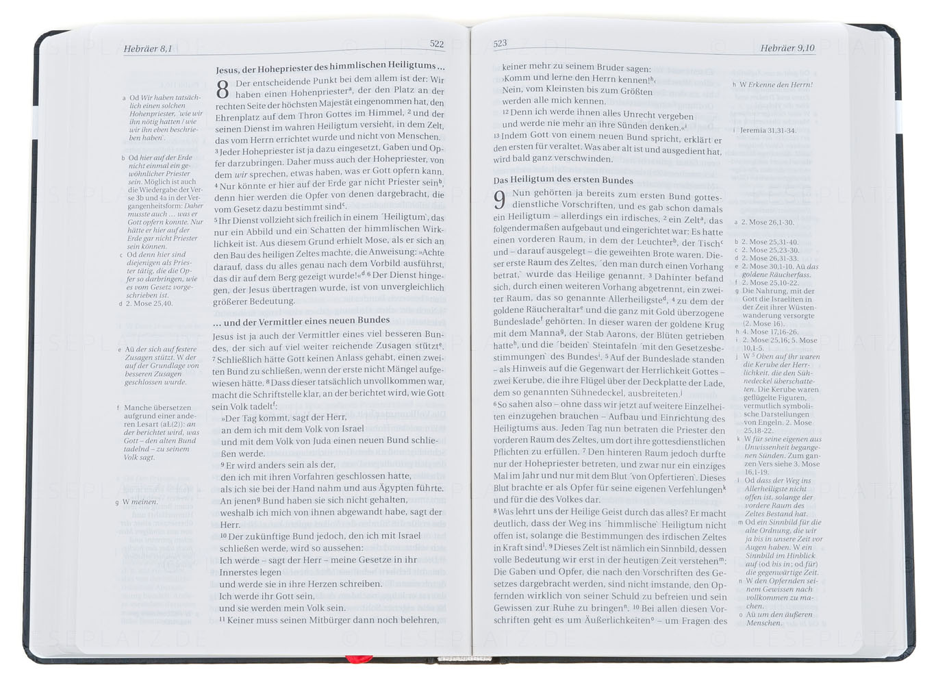 NGÜ - Neues Testament mit Psalmen und Sprichwörter - Großdruck