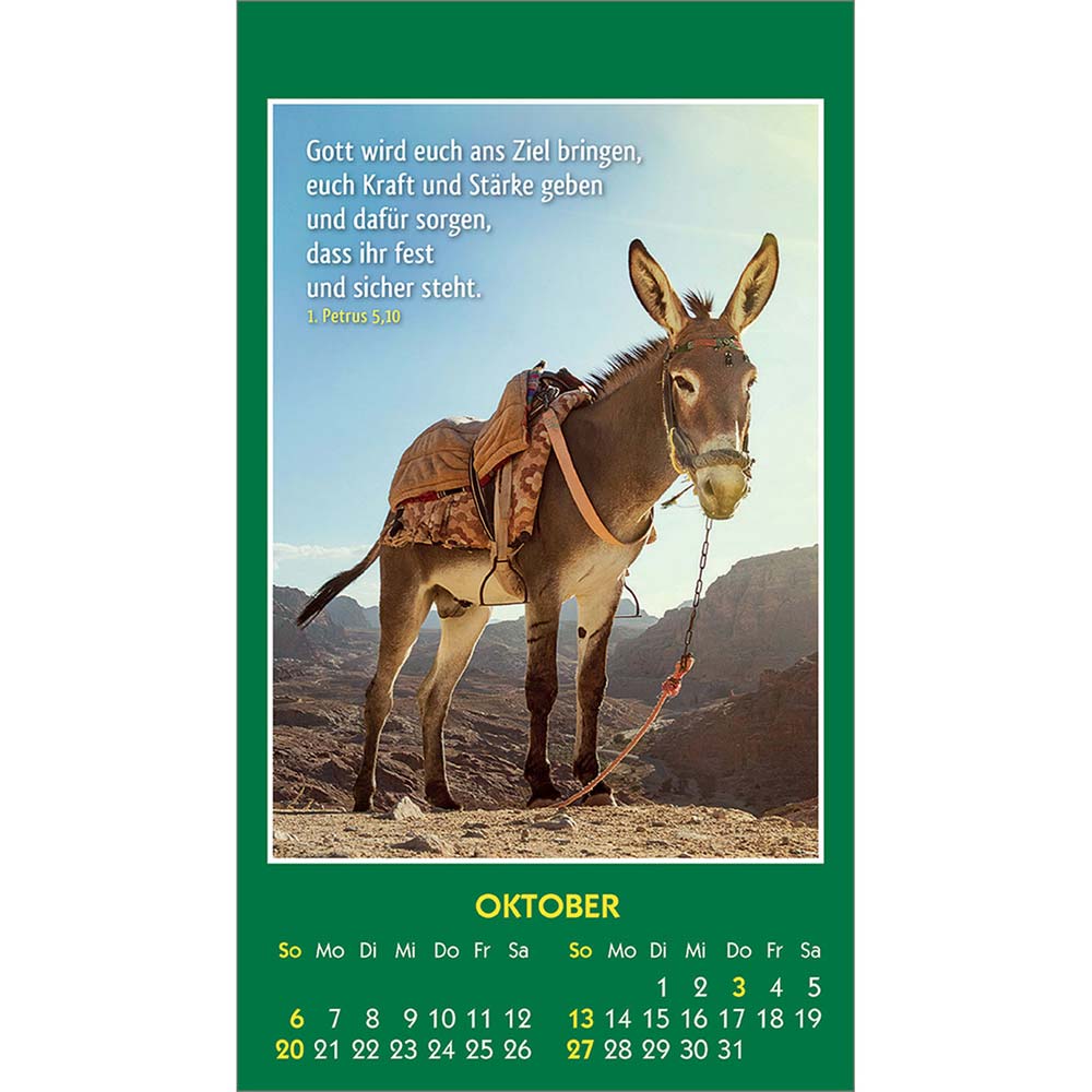 Hallo Du 2024 - Aufkleber-Kalender
