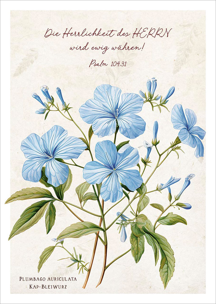 Postkarte "Die Herrlichkeit des HERRN"