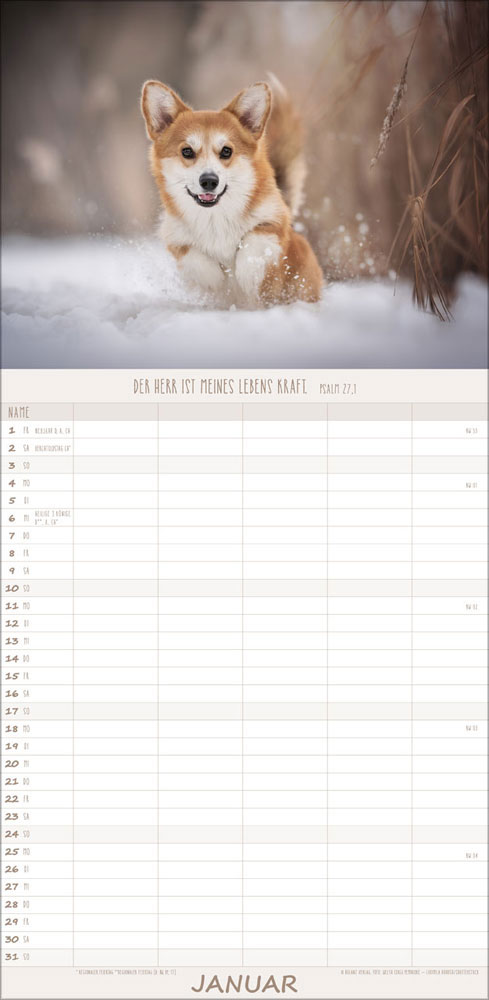 Familienplaner Hunde - 2027