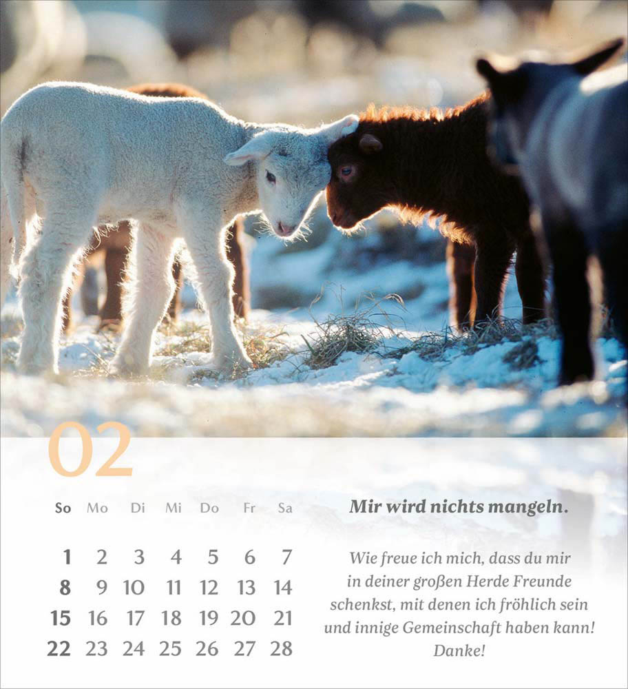 Psalm 23 - Tischkalender 2026