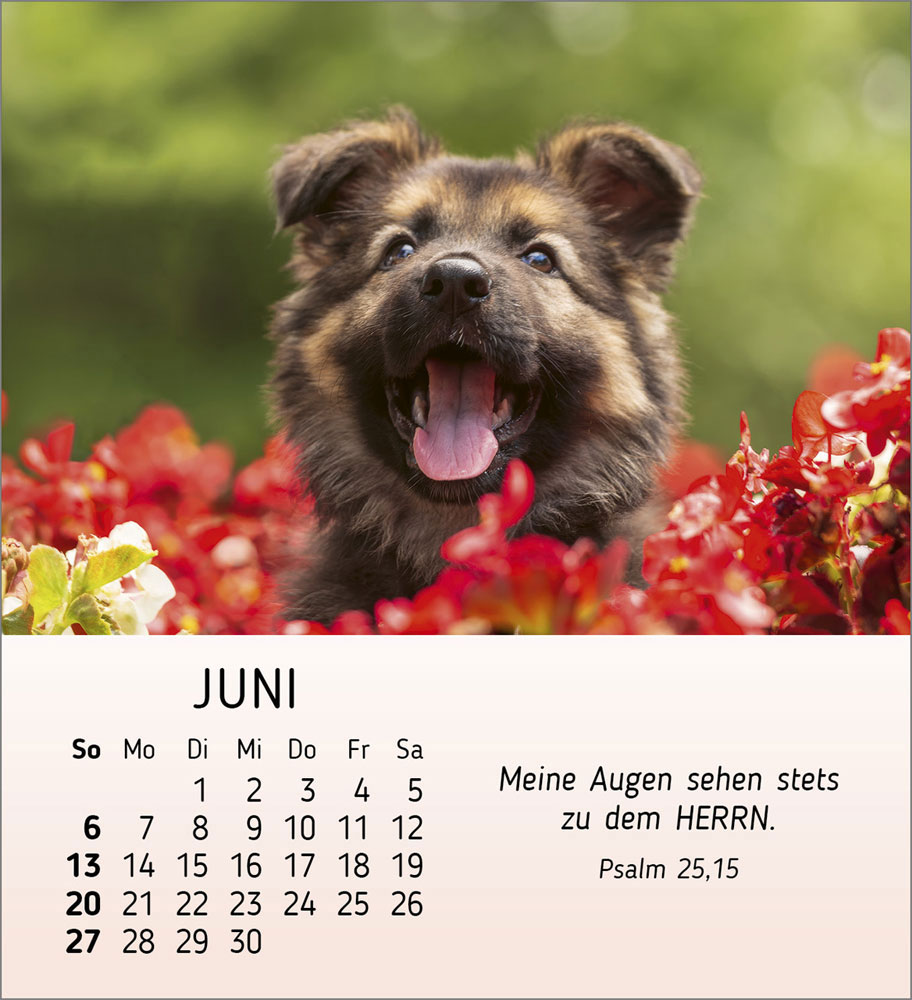 Meine kleinen Freunde 2027