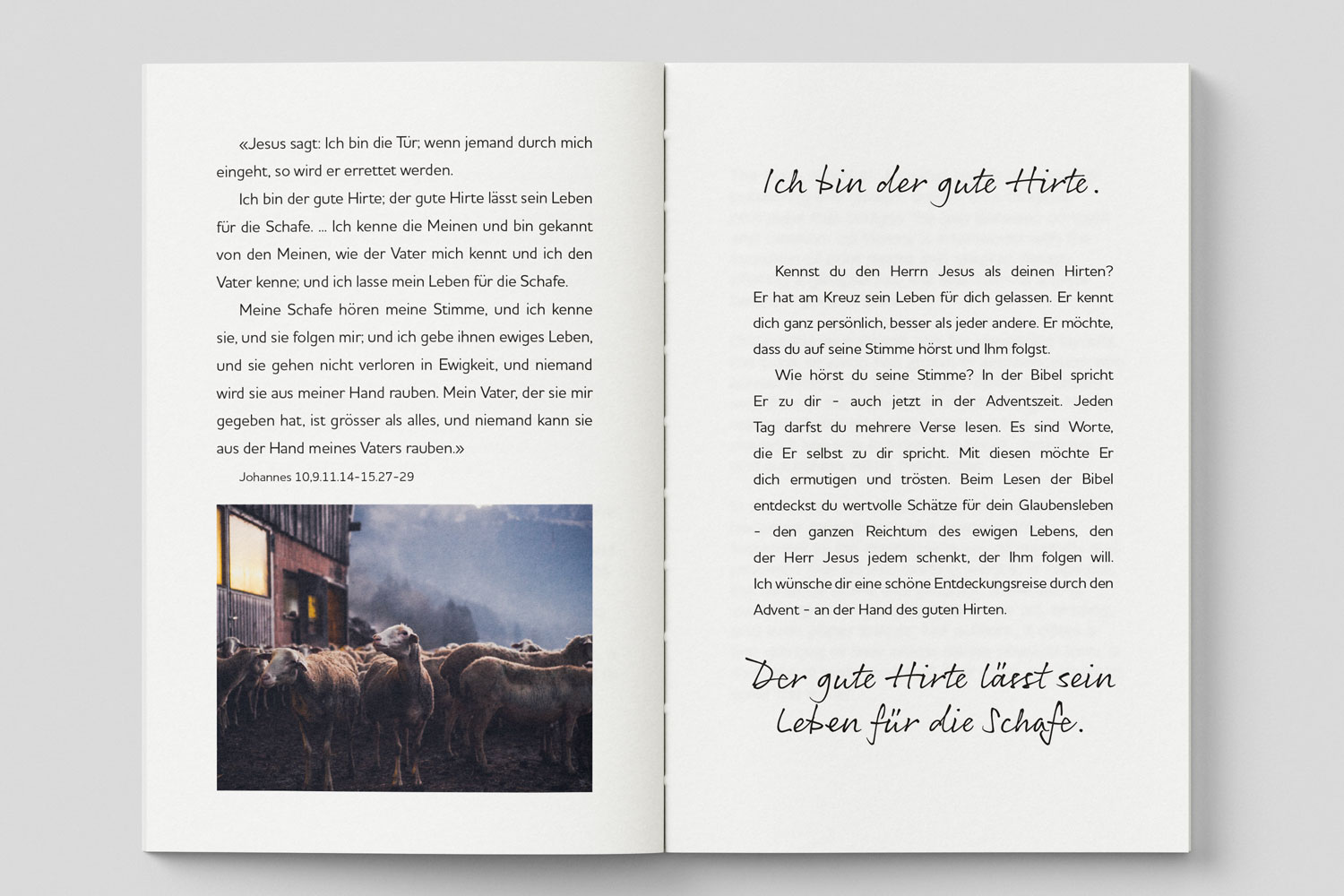 24 Tage mit dem guten Hirten