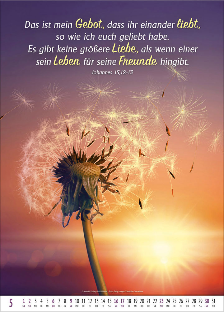 Gottes Wort - Licht auf dem Weg 2027 - Wandkalender
