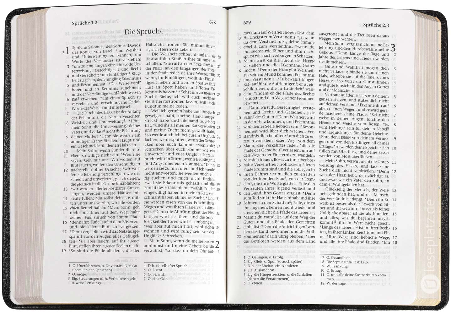 257018_ELB-2003-TB-05 Elberfelder 2003 - Taschenausgabe / Kalbsleder Goldschnitt