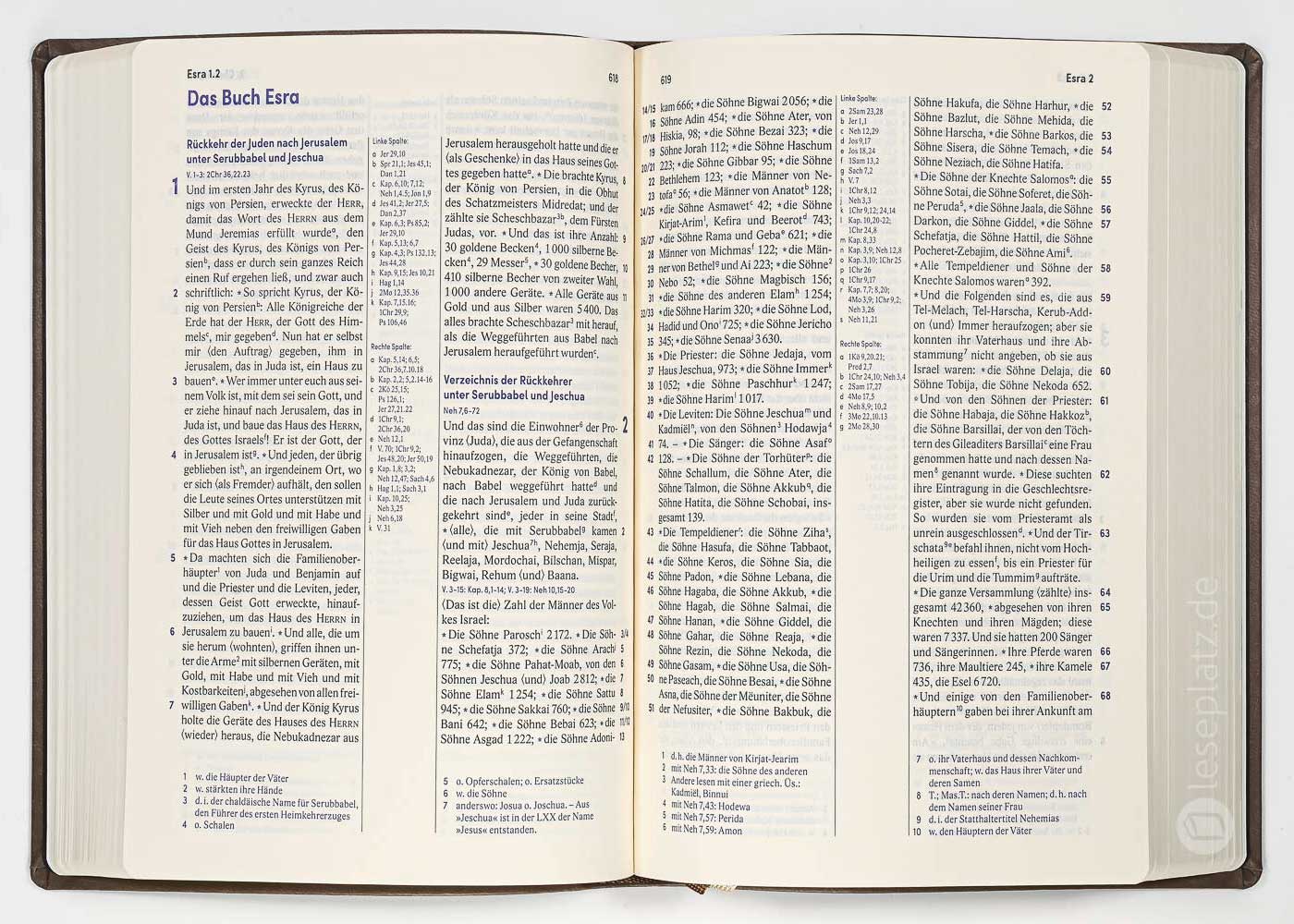 Elberfelder Bibel 2006 Standardausgabe - Kunstleder braun